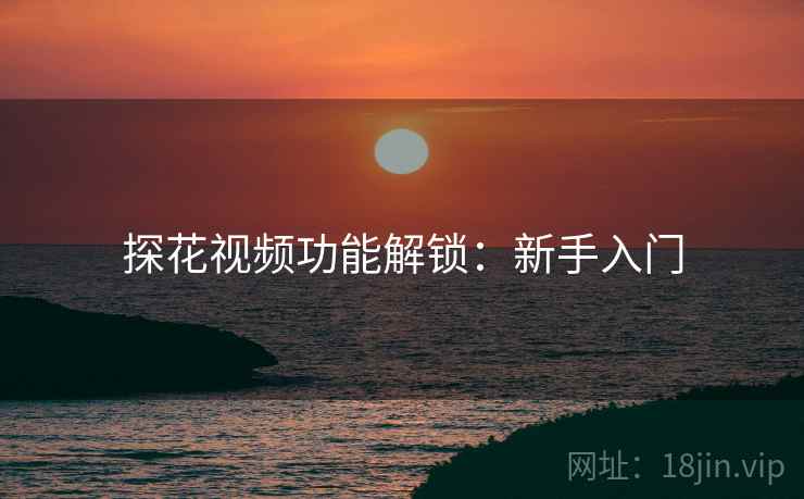 探花视频功能解锁:新手入门