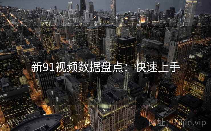 新91视频数据盘点:快速上手