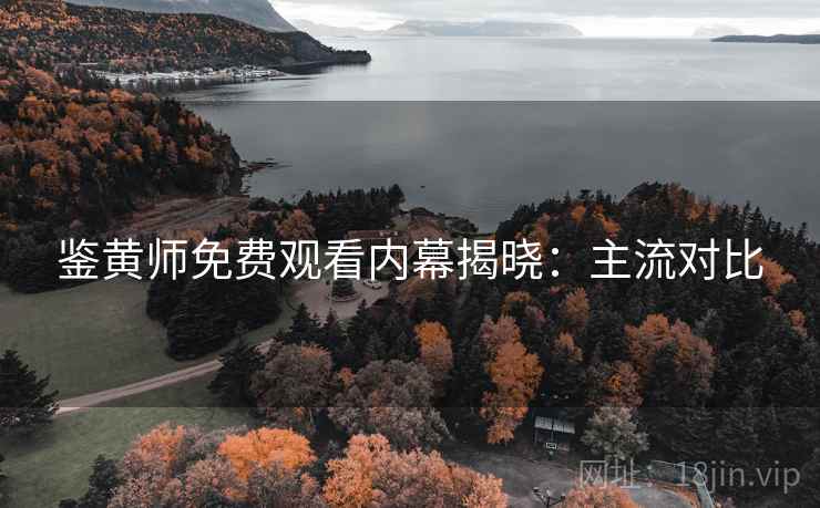 鉴黄师免费观看内幕揭晓：主流对比