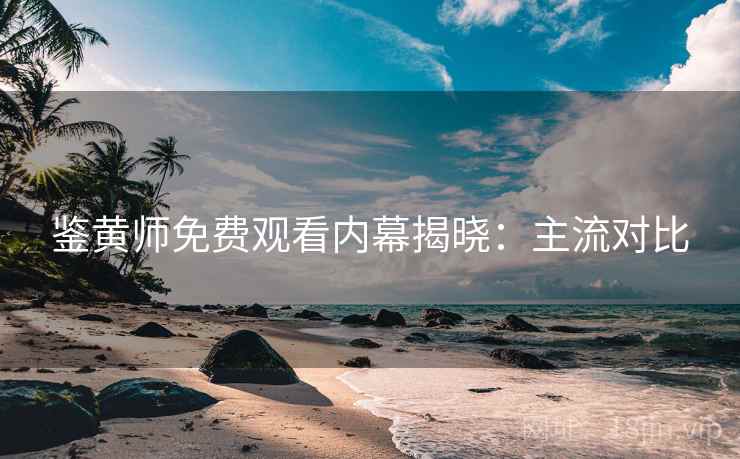 鉴黄师免费观看内幕揭晓：主流对比