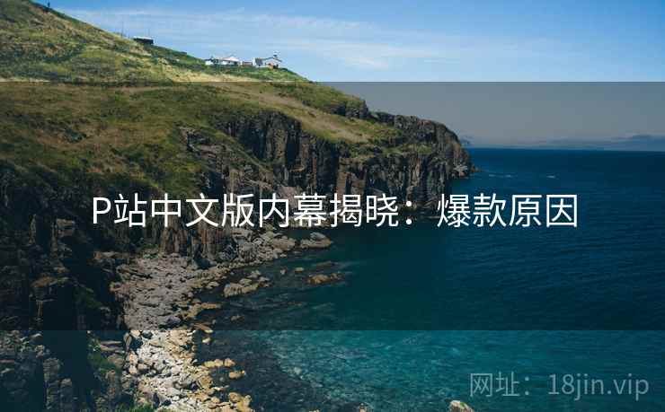 P站中文版内幕揭晓：爆款原因