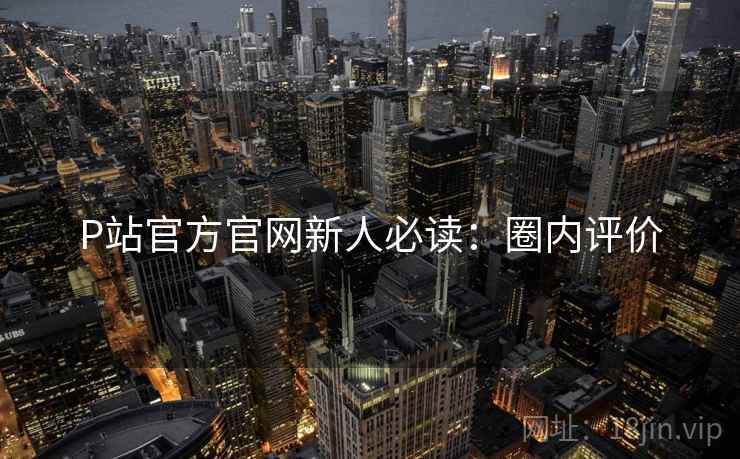 P站官方官网新人必读：圈内评价