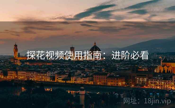 探花视频使用指南:进阶必看
