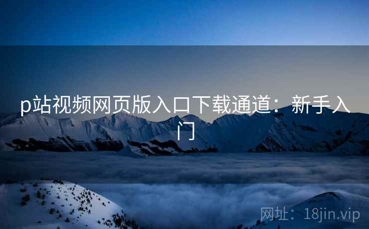 p站视频网页版入口下载通道：新手入门