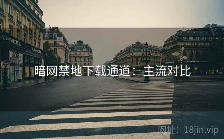 暗网禁地下载通道：主流对比