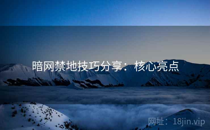 暗网禁地技巧分享：核心亮点