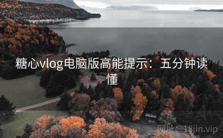 糖心vlog电脑版高能提示：五分钟读懂