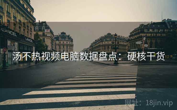 汤不热视频电脑数据盘点：硬核干货