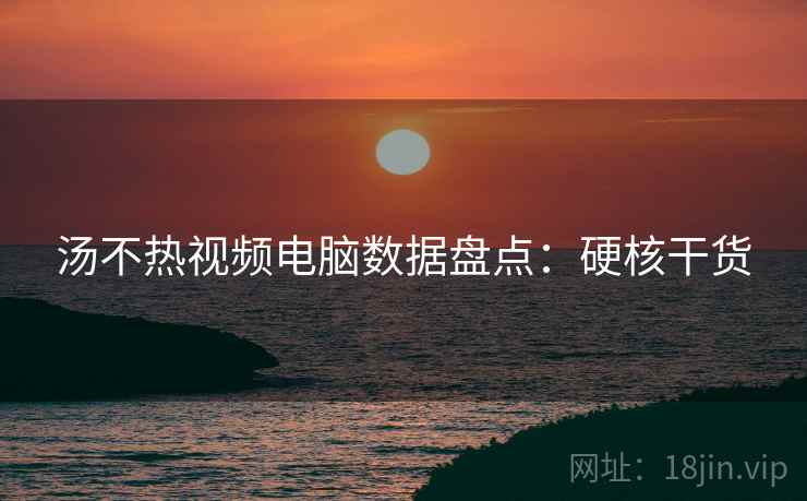 汤不热视频电脑数据盘点：硬核干货