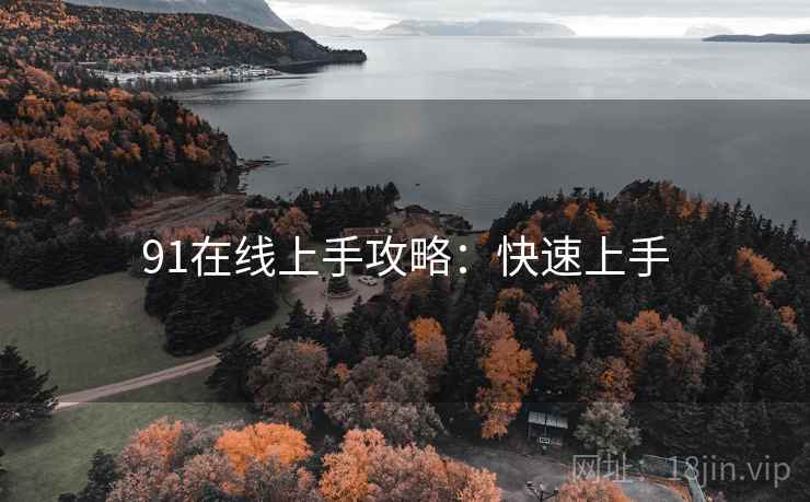 91在线上手攻略：快速上手
