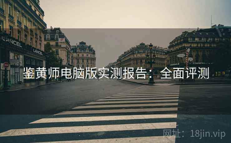 鉴黄师电脑版实测报告：全面评测