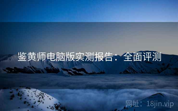鉴黄师电脑版实测报告：全面评测