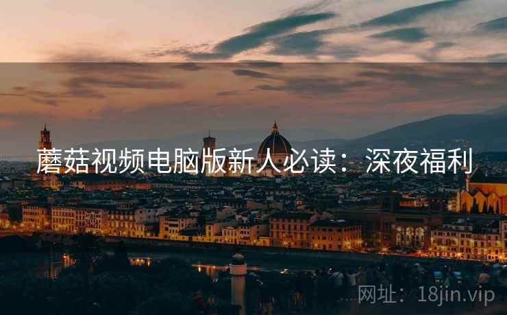 蘑菇视频电脑版新人必读：深夜福利