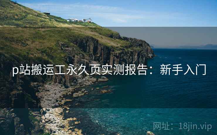 p站搬运工永久页实测报告：新手入门