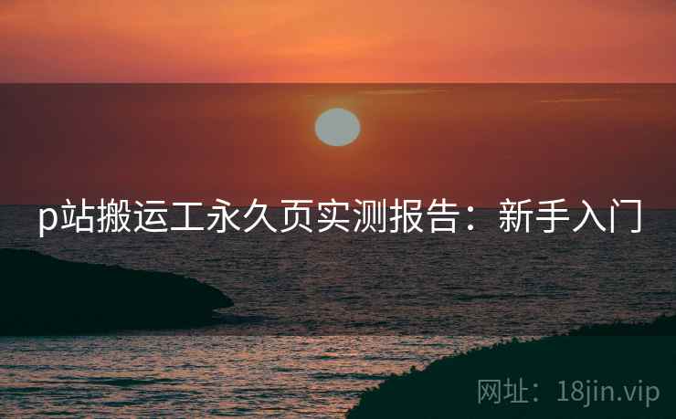 p站搬运工永久页实测报告：新手入门