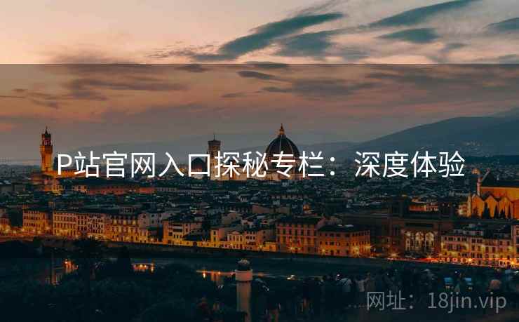 P站官网入口探秘专栏：深度体验