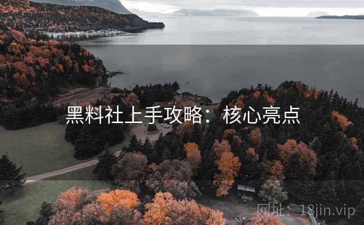 黑料社上手攻略：核心亮点