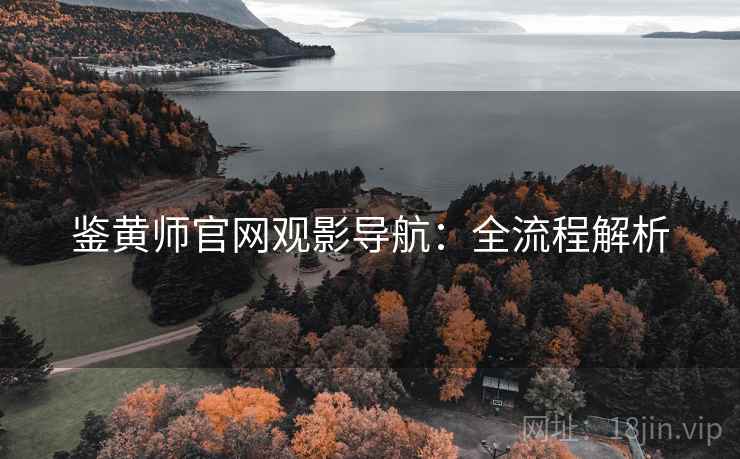 鉴黄师官网观影导航：全流程解析