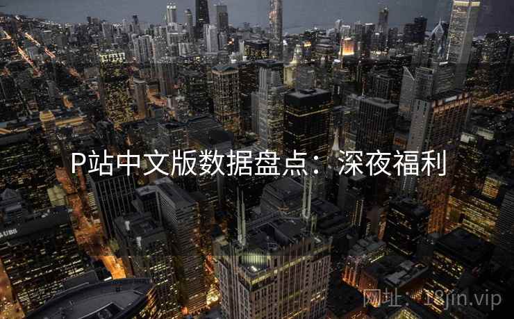 P站中文版数据盘点：深夜福利