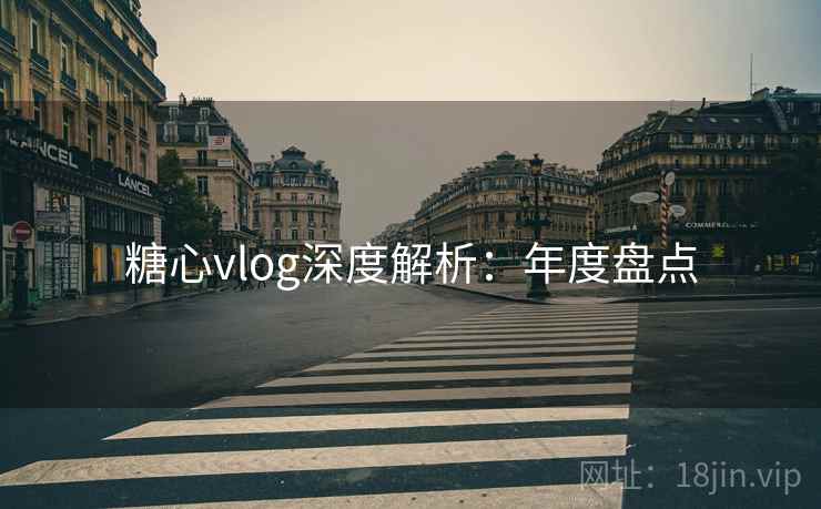 糖心vlog深度解析：年度盘点