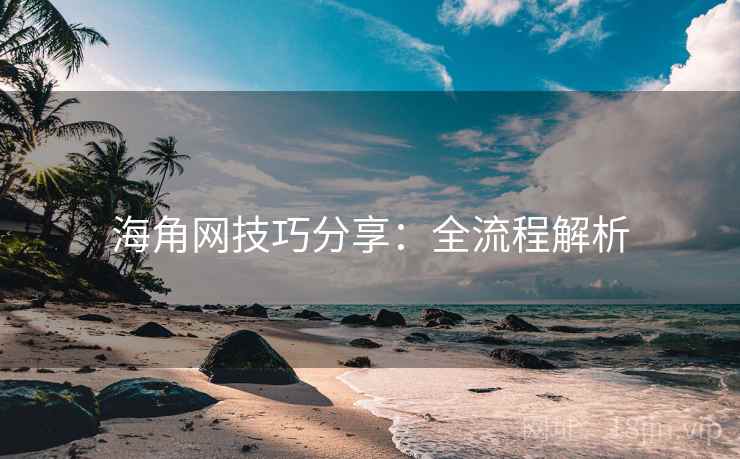 海角网技巧分享：全流程解析