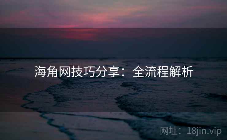 海角网技巧分享：全流程解析